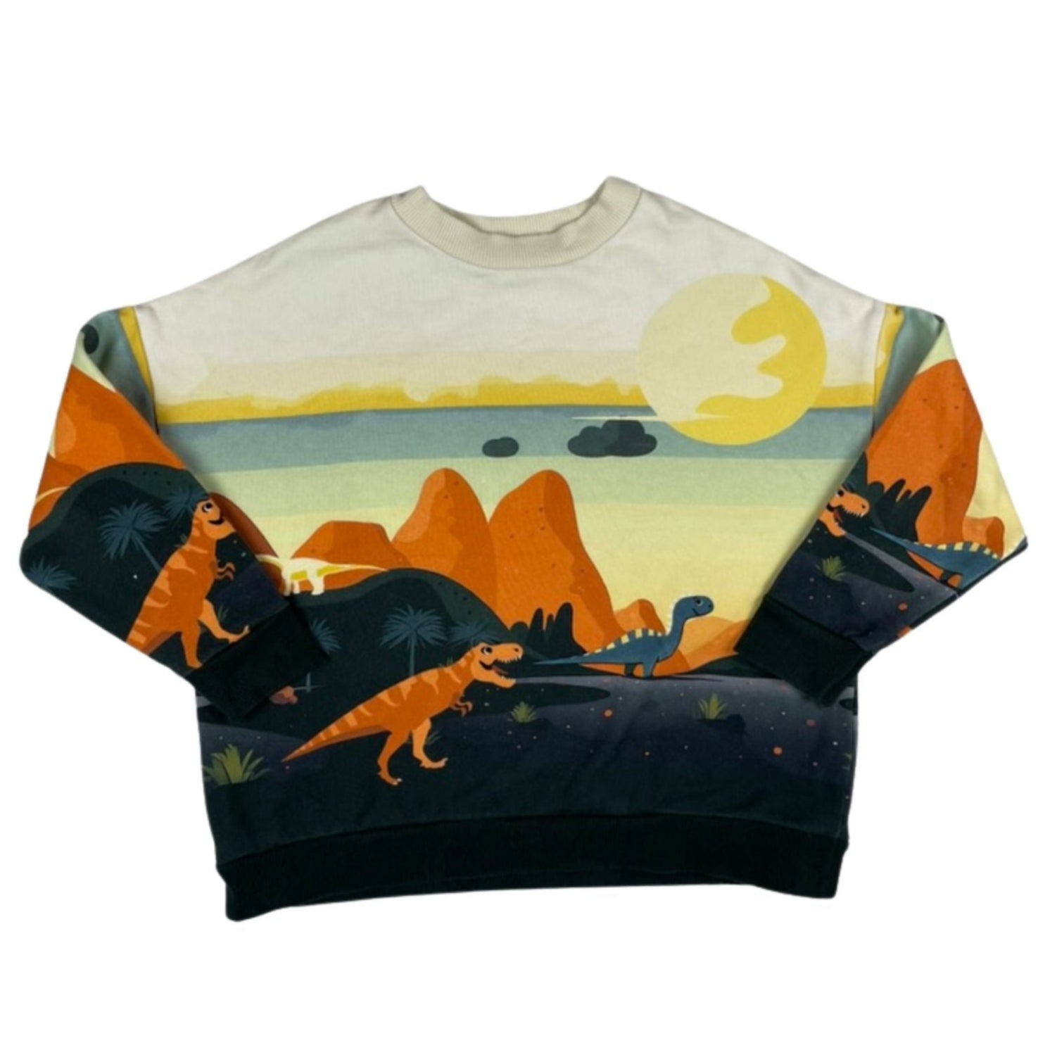 Jungen-Sweatshirt Größe 110 mit farbenfrohem Dinosaurier-Print","Jungen-Sweatshirt Größe 110 mit Dinosaurier-Motiv – weich & bequem