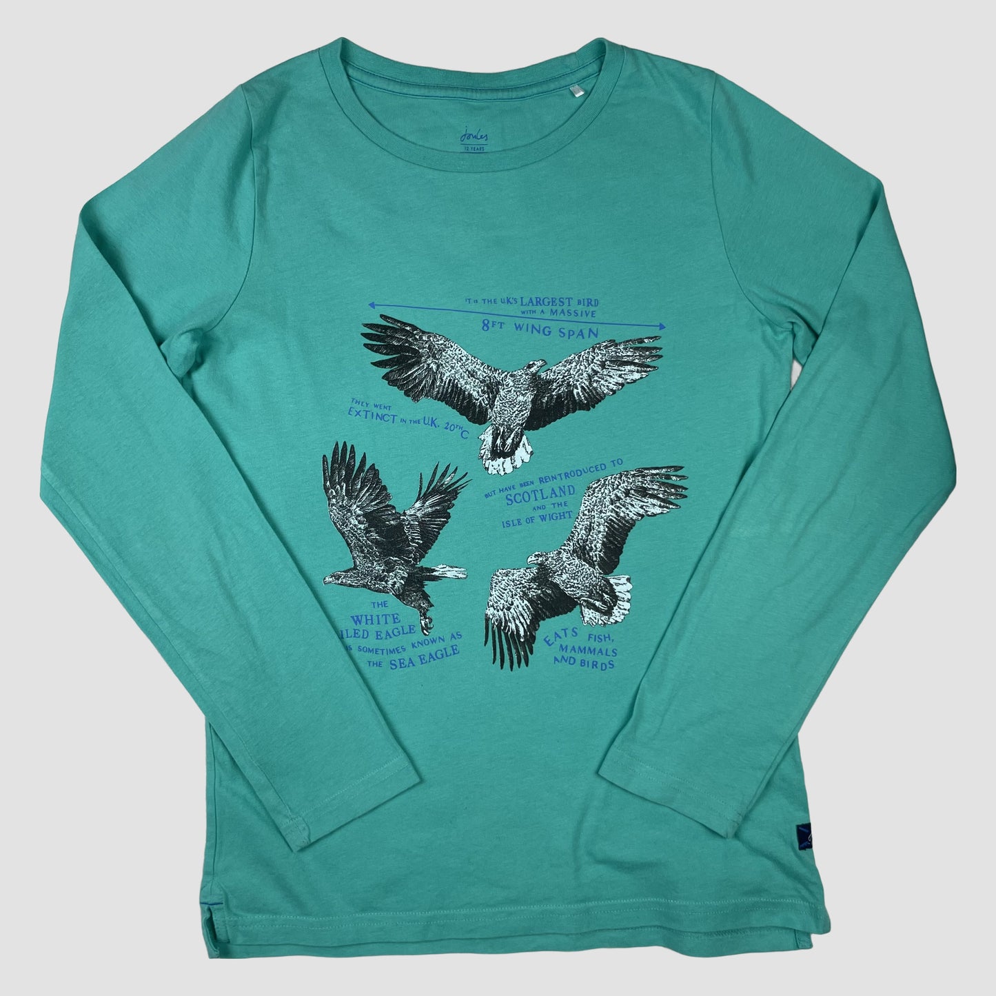 Türkises Langarmshirt von Joules mit Adler-Print, Größe 12 Jahre – front