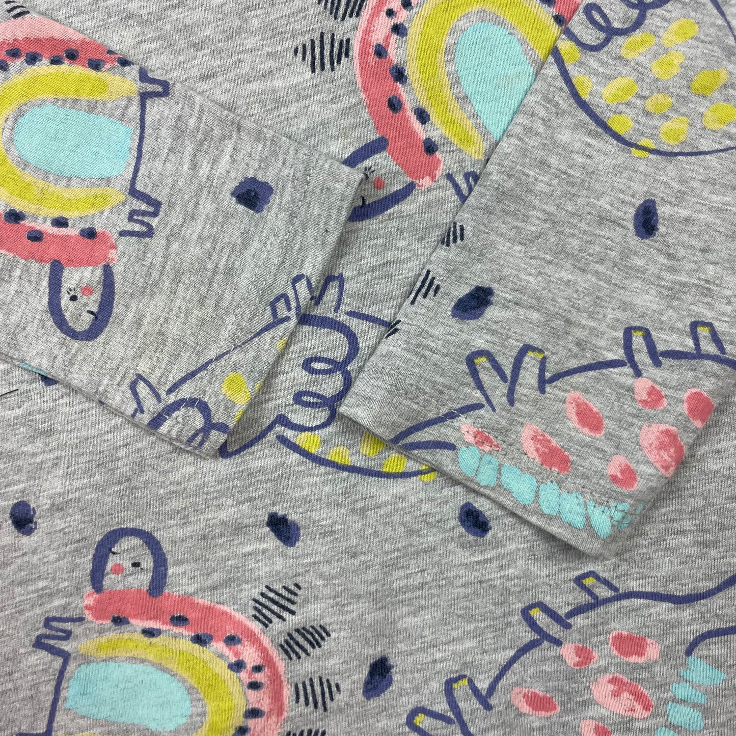 Graues Langarmshirt mit Dinosauriermuster von Nutmeg, Größe 4–5 Jahre – detail