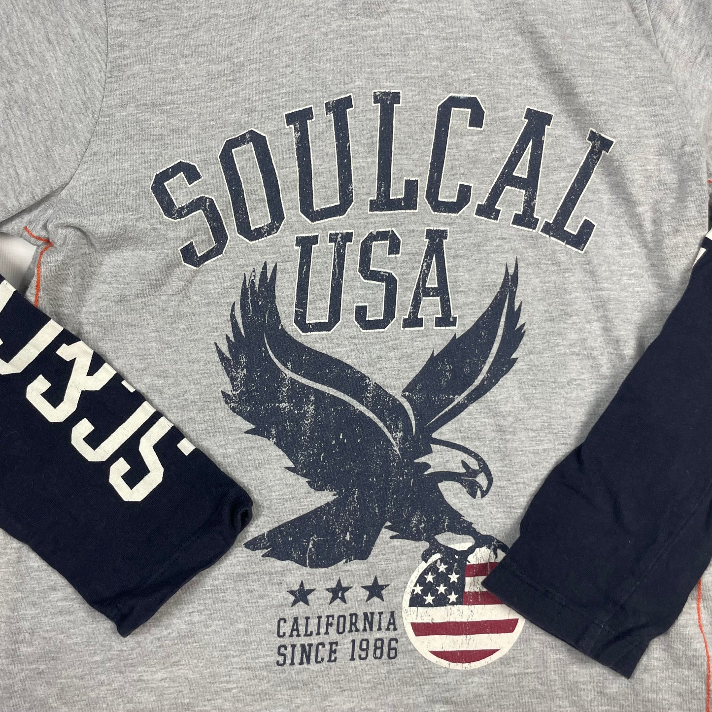 Grau-schwarzes Sweatshirt mit Adler-Motiv von SoulCal&Co für Jungen – detail