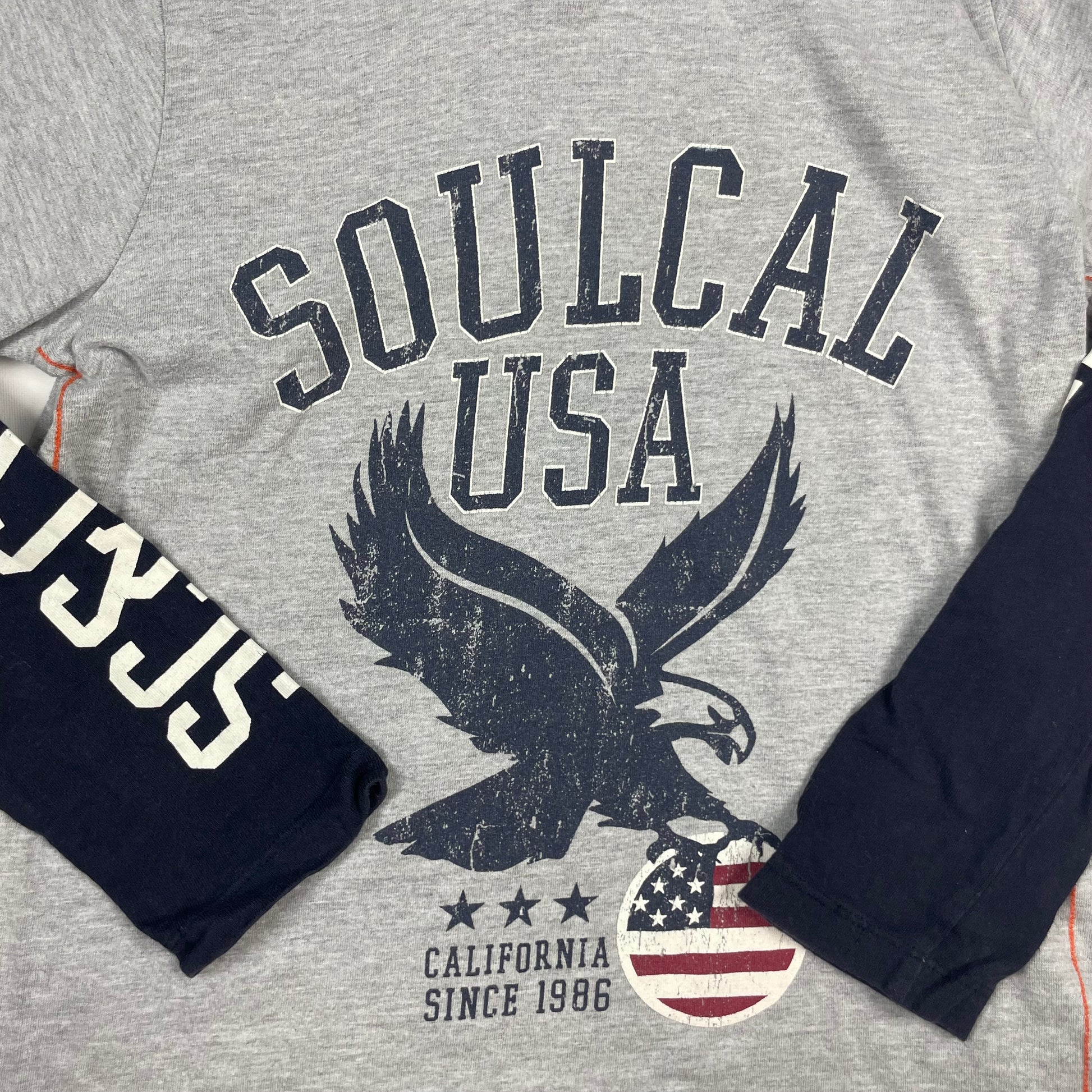 Grau-schwarzes Sweatshirt mit Adler-Motiv von SoulCal&Co für Jungen – detail