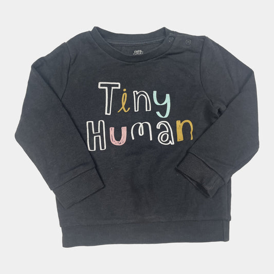 Grauer Pullover mit bunter `Tiny Human` Aufschrift auf der Vorderseite – front