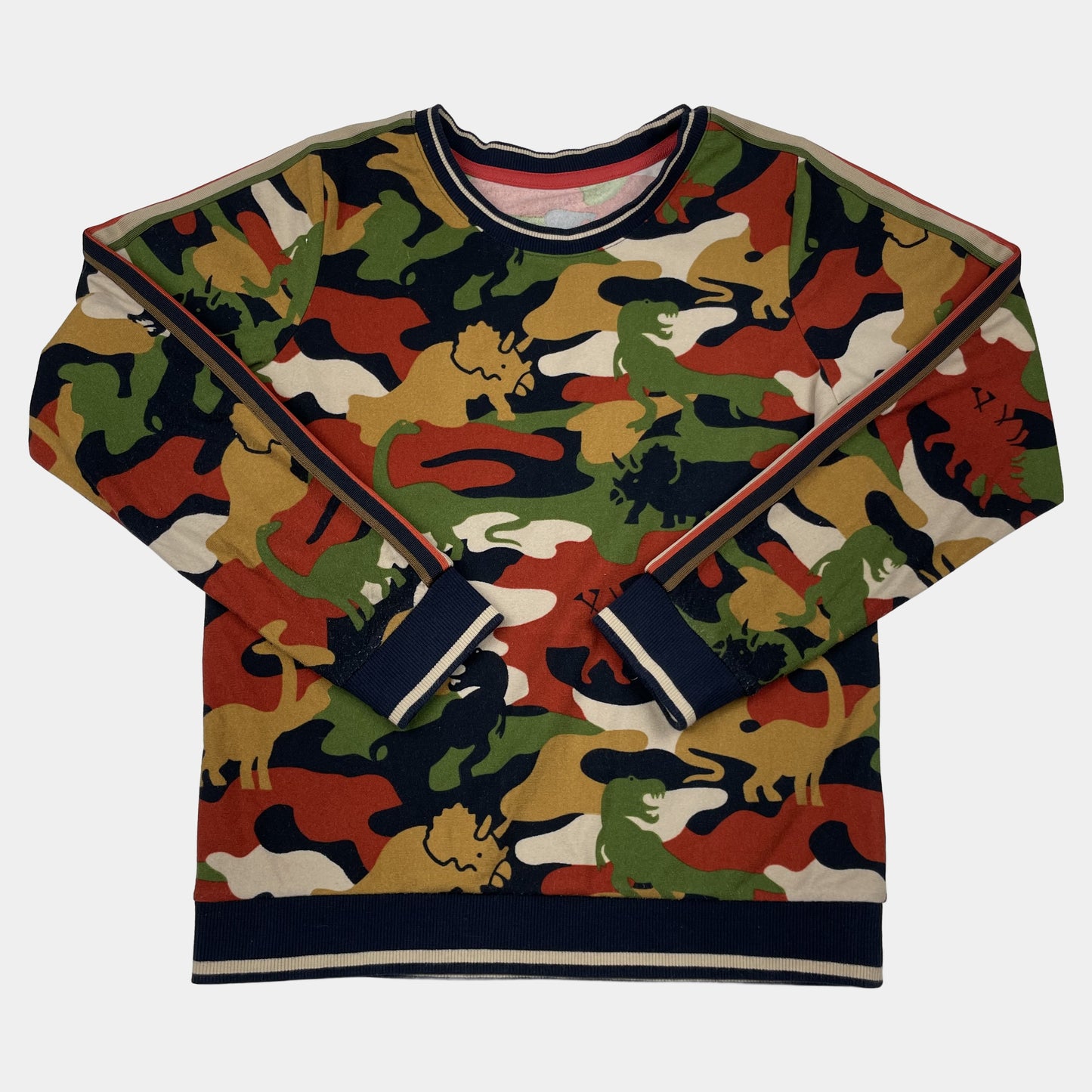 Mehrfarbiger Polyester-Pullover mit Dinosauriermuster und Streifen – front