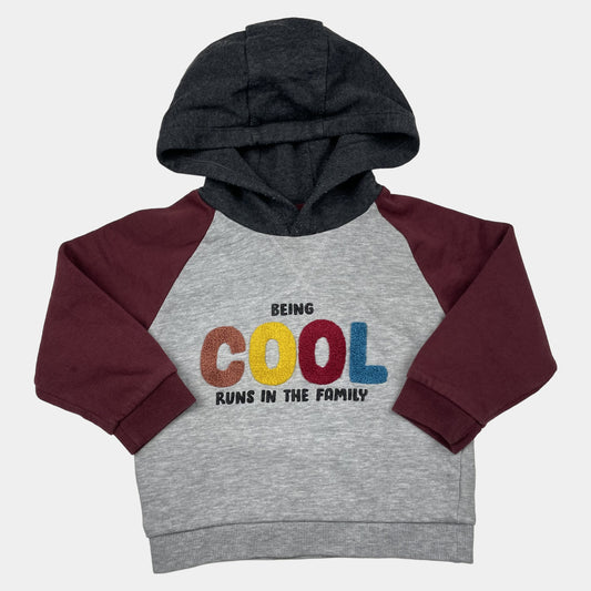 Grau-roter Hoodie mit Schriftzug 'BEING COOL RUNS IN THE FAMILY' für 18-23 Monate – front