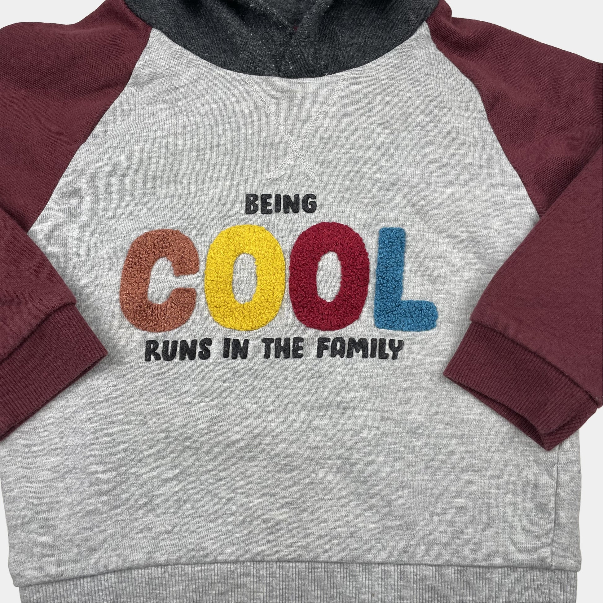Grau-roter Hoodie mit Schriftzug 'BEING COOL RUNS IN THE FAMILY' für 18-23 Monate – detail