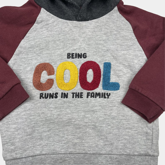Grau-roter Hoodie mit Schriftzug 'BEING COOL RUNS IN THE FAMILY' für 18-23 Monate – detail